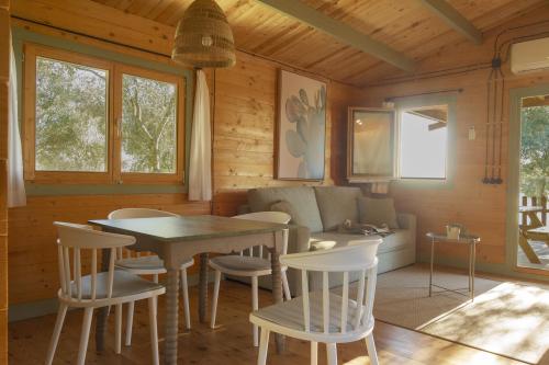 Cocina - Salón - Comedor